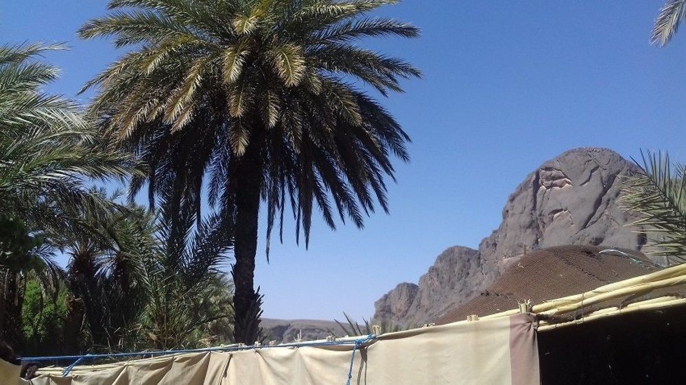 Auberge Restaurant Tissili " Oasis De Fint" Luaran gambar